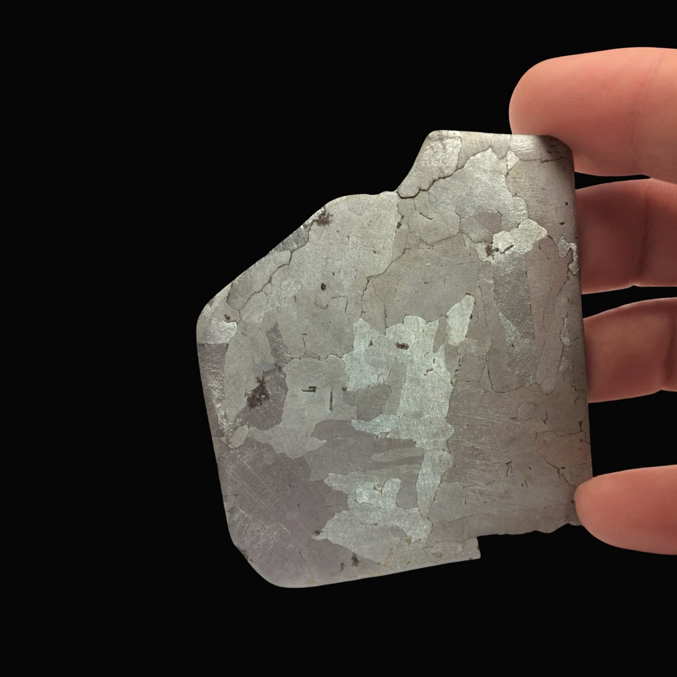 Campo del Cielo Meteorite Slice ~ 43.9 grams - Image 5