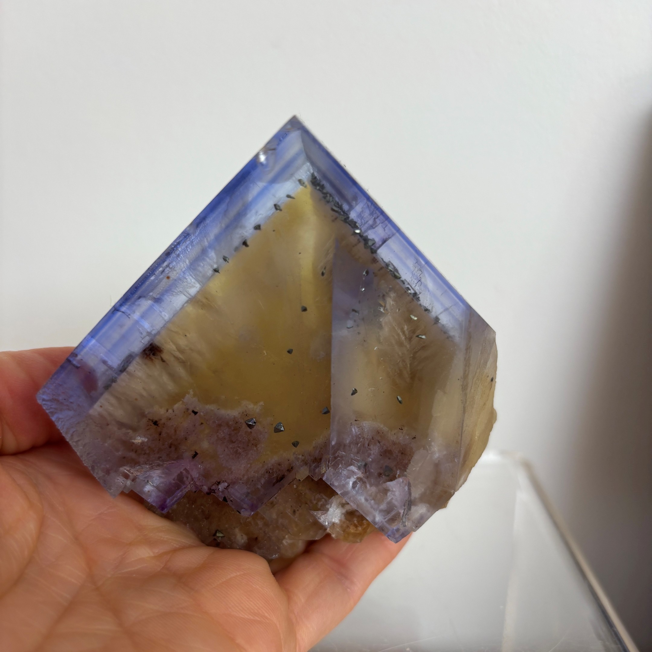 Blue and Yellow Zoned Fluorite Collector Specimen ~ Illinois - Image 2