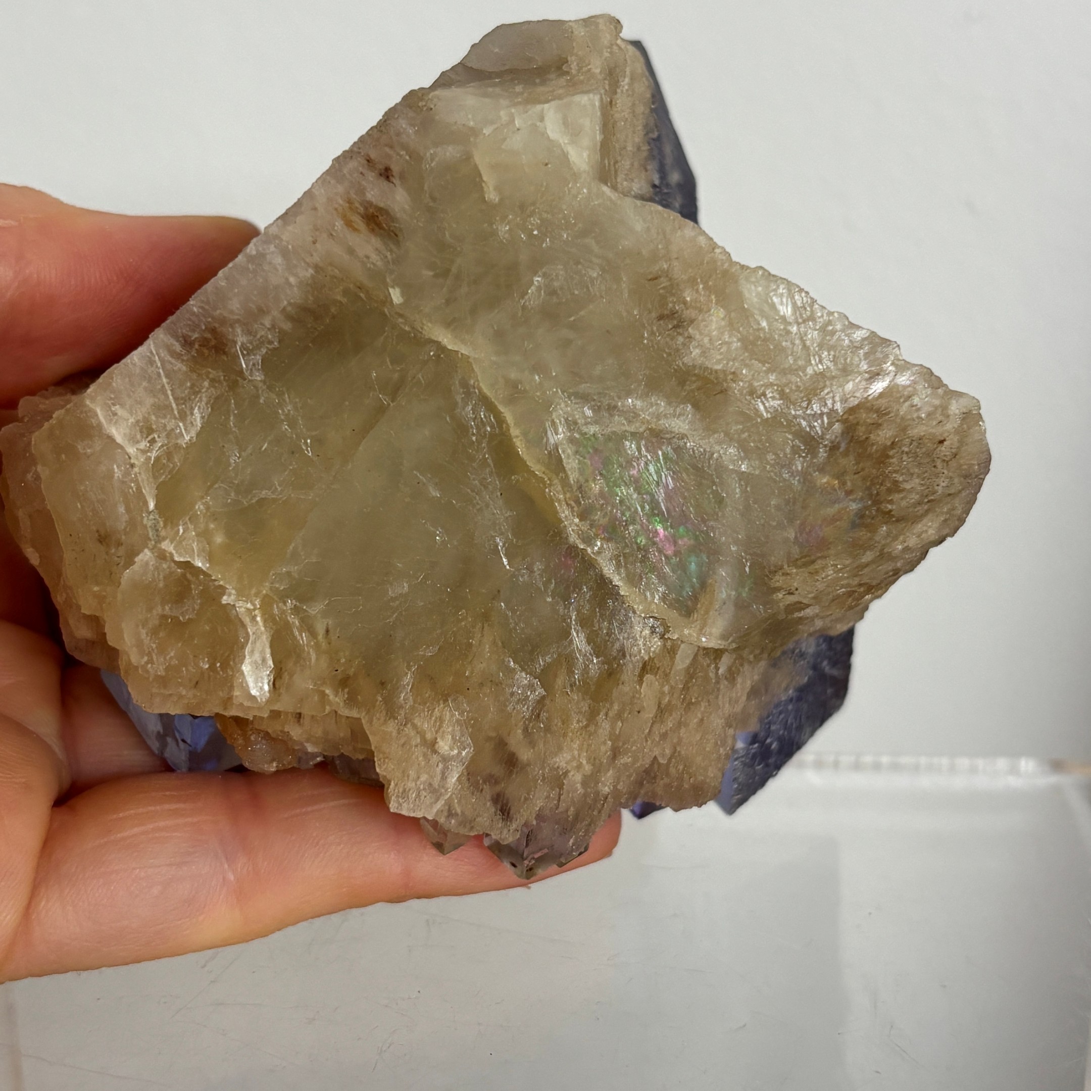 Blue and Yellow Zoned Fluorite Collector Specimen ~ Illinois - Image 11