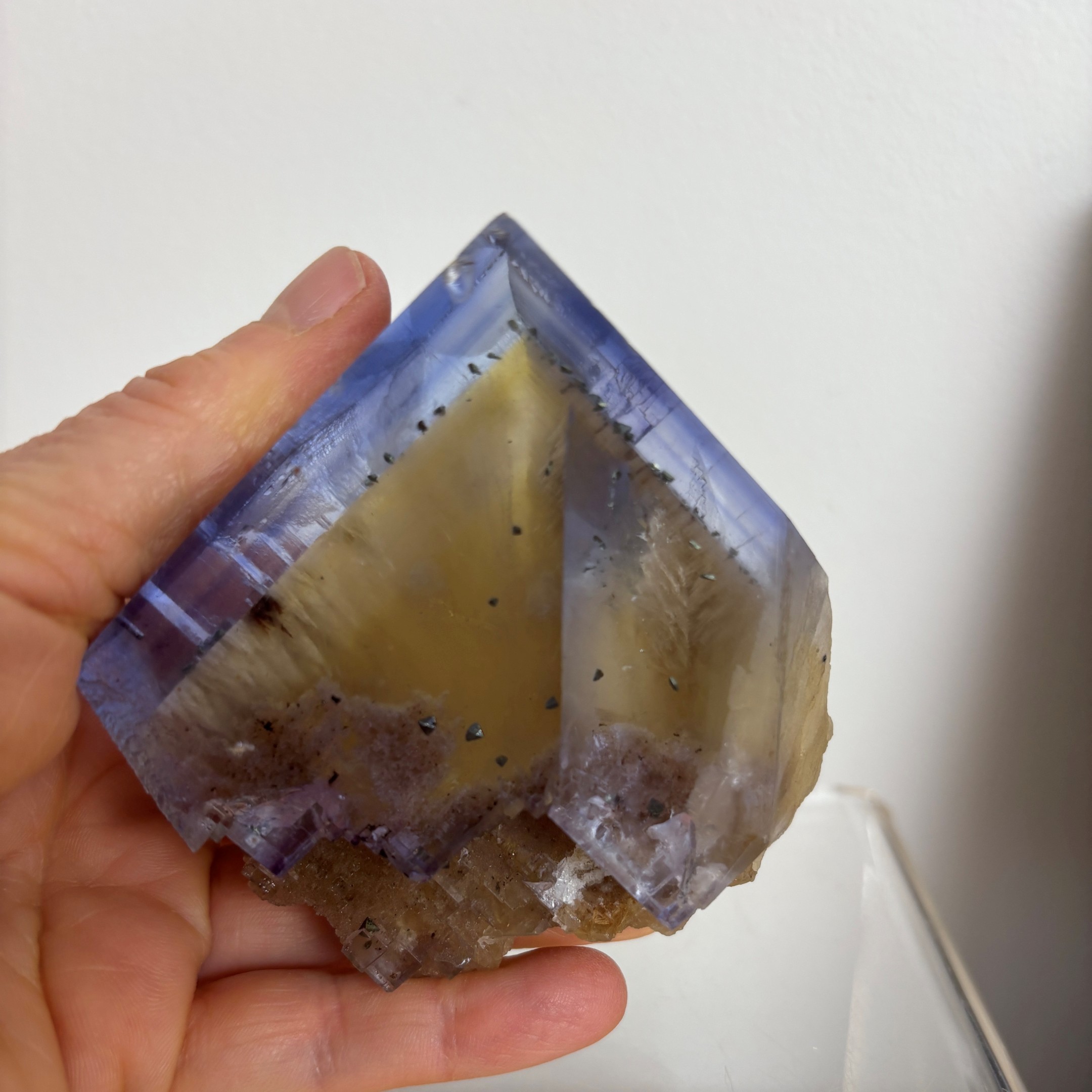 Blue and Yellow Zoned Fluorite Collector Specimen ~ Illinois - Image 12