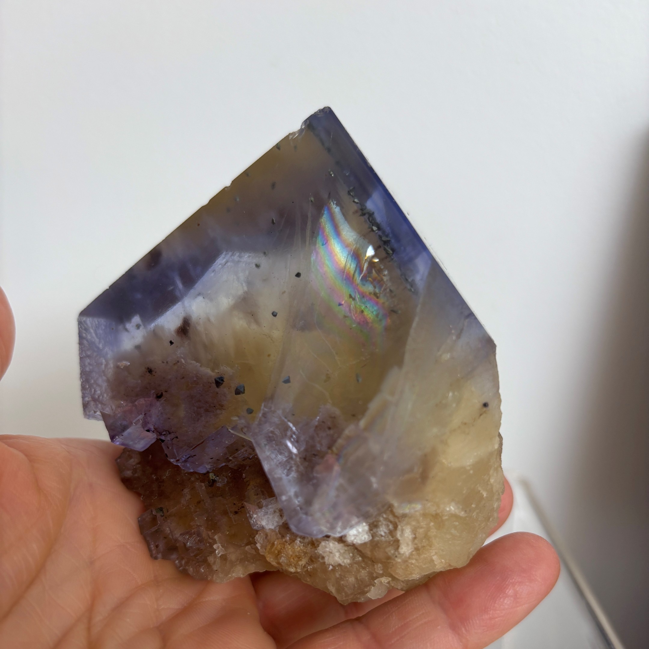 Blue and Yellow Zoned Fluorite Collector Specimen ~ Illinois - Image 6