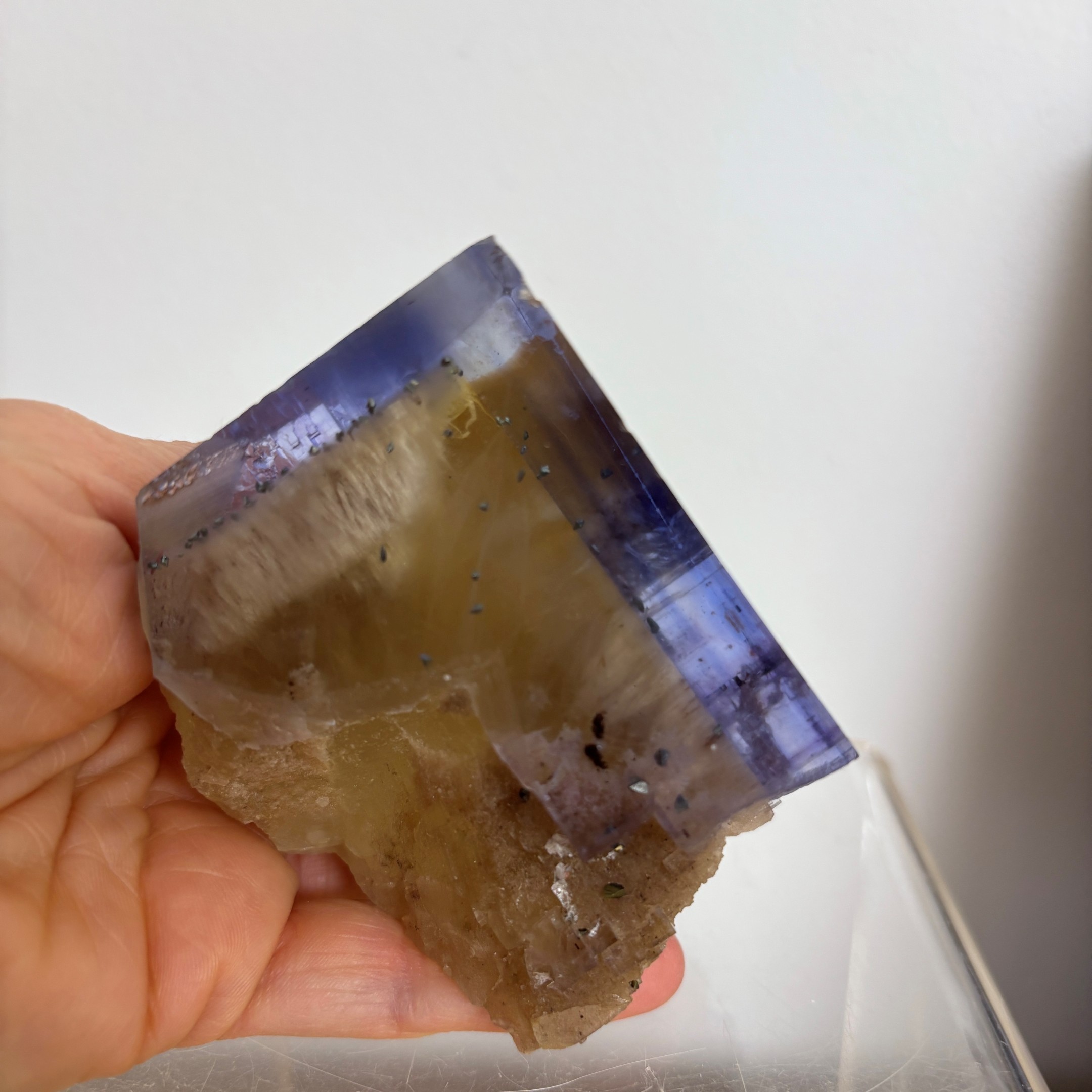 Blue and Yellow Zoned Fluorite Collector Specimen ~ Illinois - Image 9