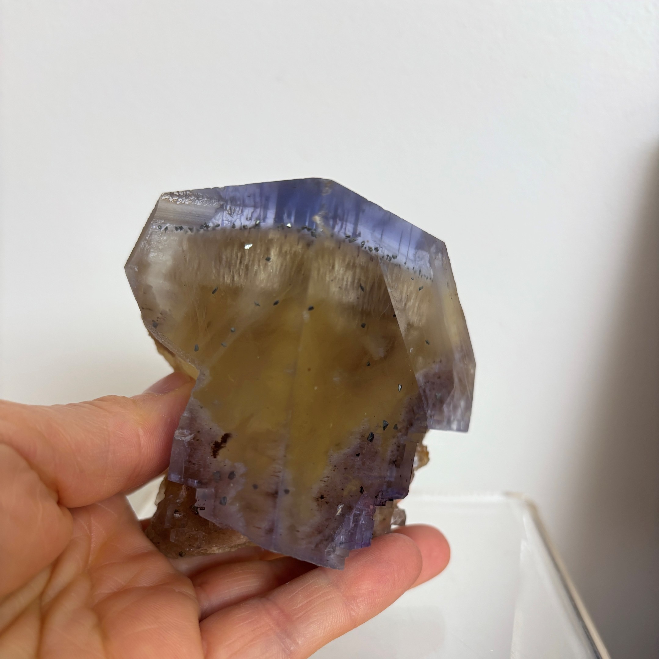 Blue and Yellow Zoned Fluorite Collector Specimen ~ Illinois - Image 10
