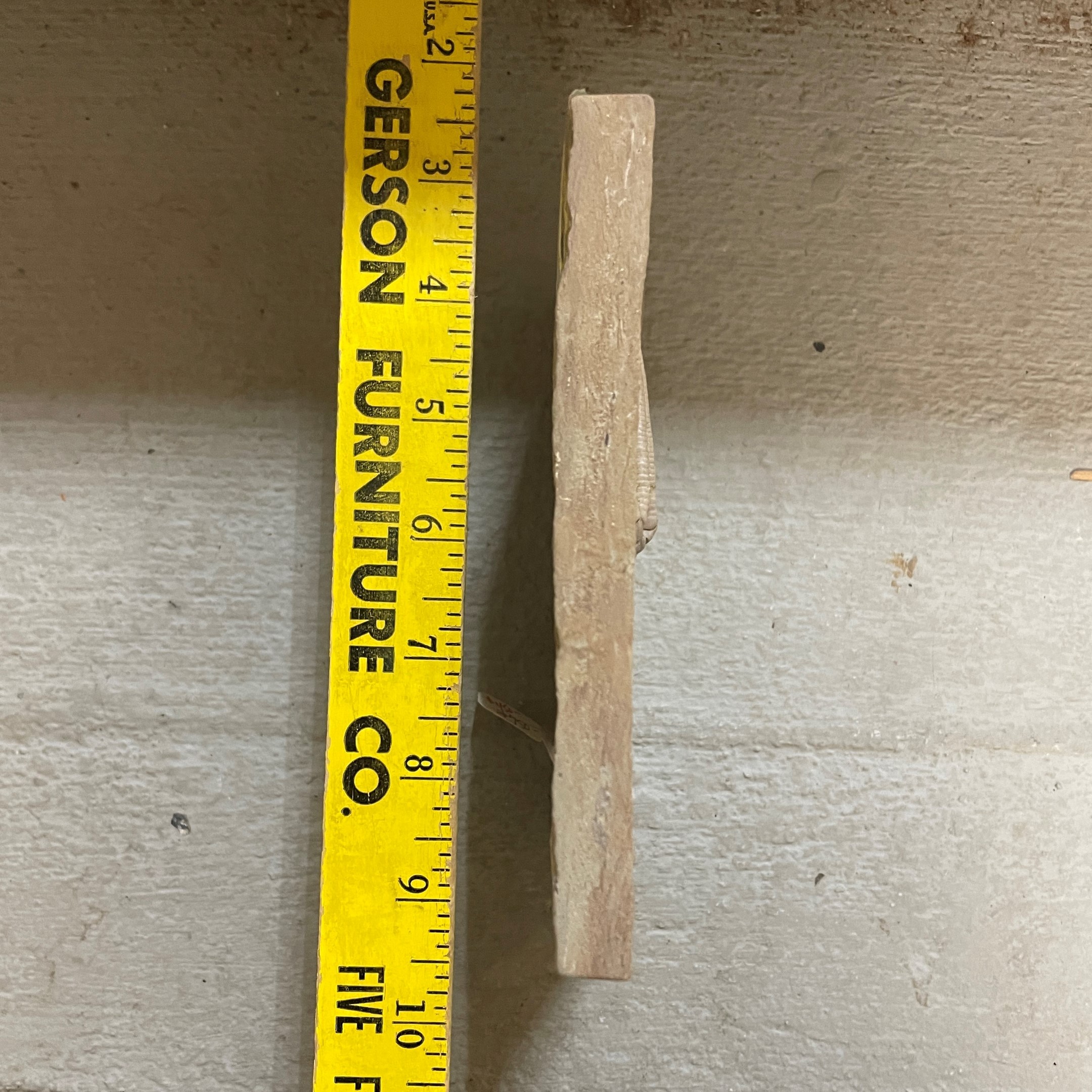 Fossil Crinoid ~ Parascytalocrinus validus ~ Indiana, USA - Image 9