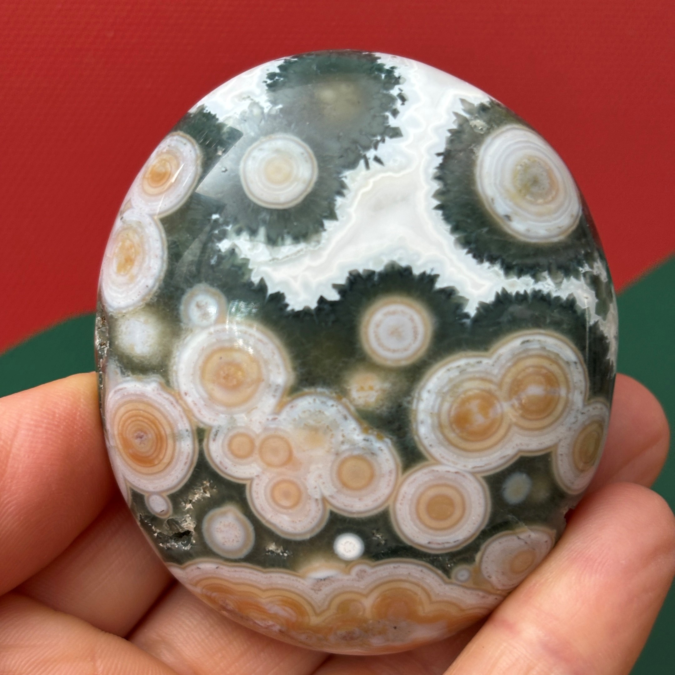Ocean Jasper 8th Vein Palm Stone