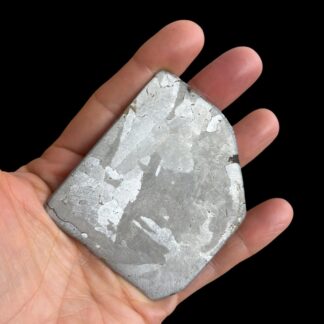 Campo del Cielo Meteorite Slice ~ 48.6 grams