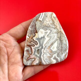 Crazy Lace Agate Slice/Cabochon