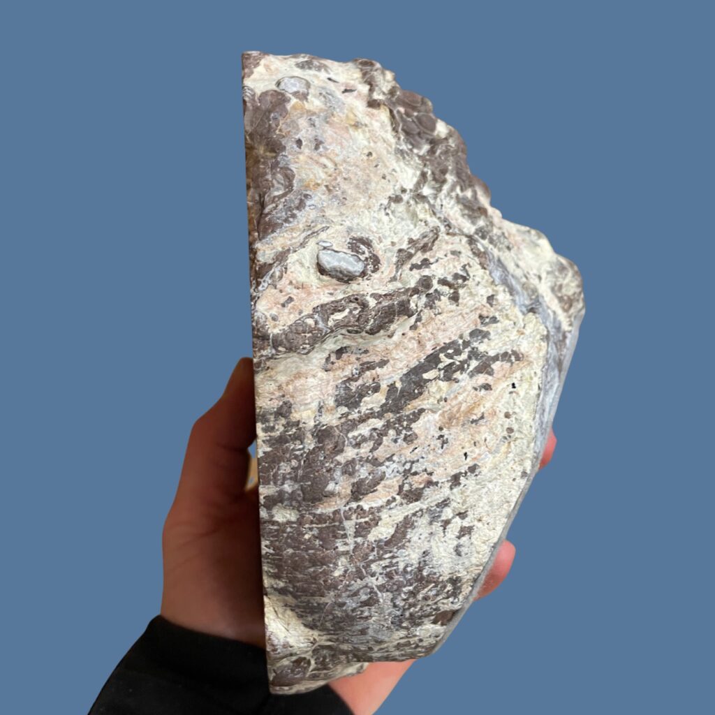 Geoclassics Dugway Geode Utah