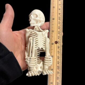 Moose Antler Squatting Skeleton