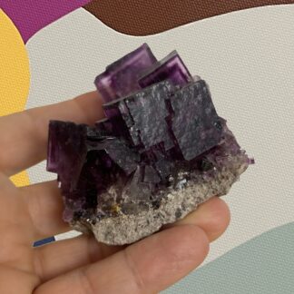 Purple Fluorite with Sphalerite & Galena ~ Cave-in-Rock District, Illinois