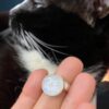 Rainbow Moonstone Moon Face Ring  ~ Adjustable Size - Image 11