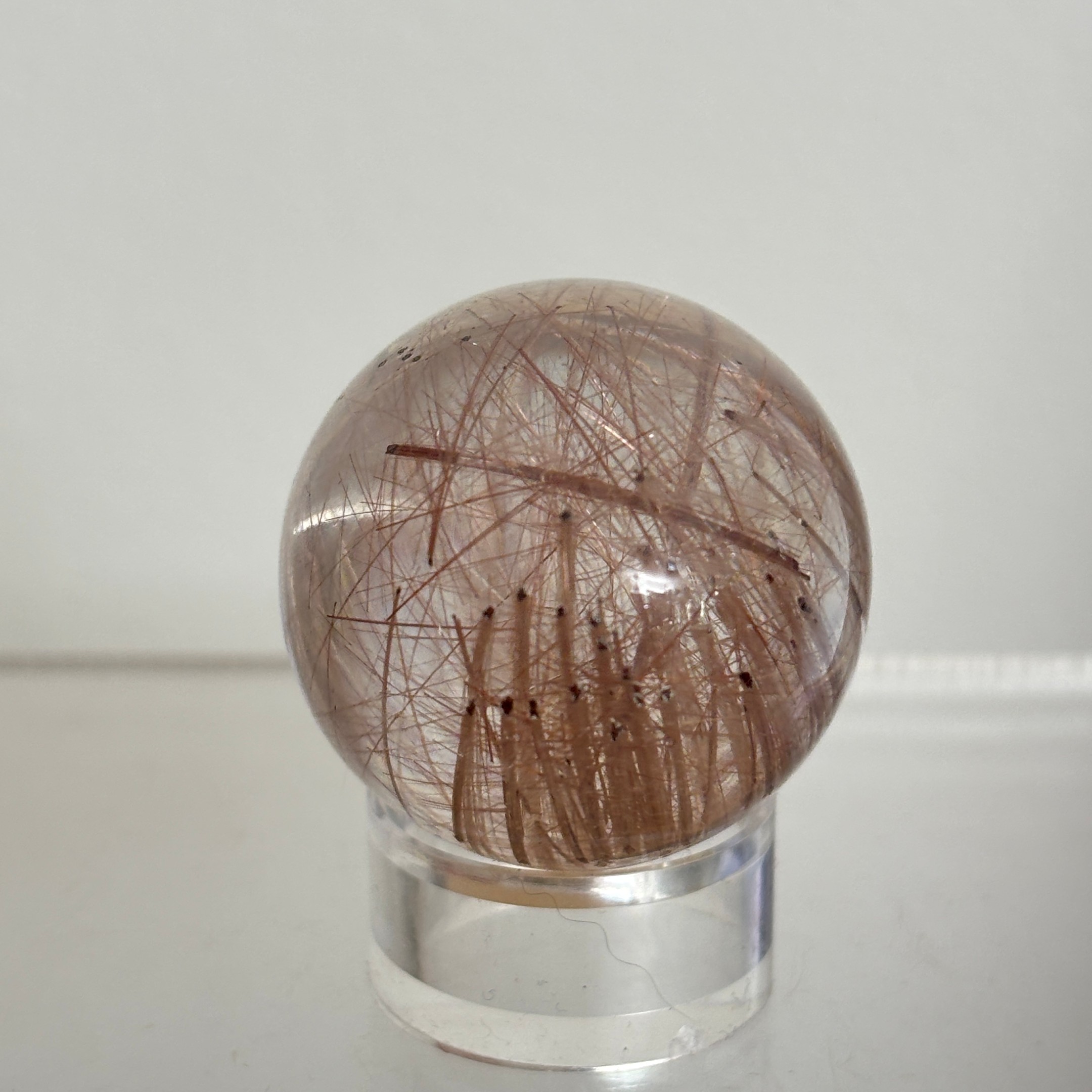 Rutilated Quartz Egg ~ Brazil - Image 6